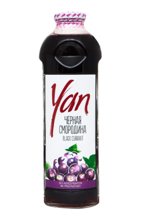 Նեկտար «Յան» սև հաղարջ 0.93լ 