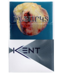 Сигареты "Kent Spark Silver"