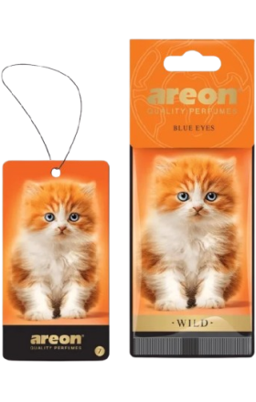 Ավտոմեքենայի թարմացուցիչ "Areon" Wild Blue Eyes