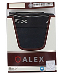 Boxer "Alex" 