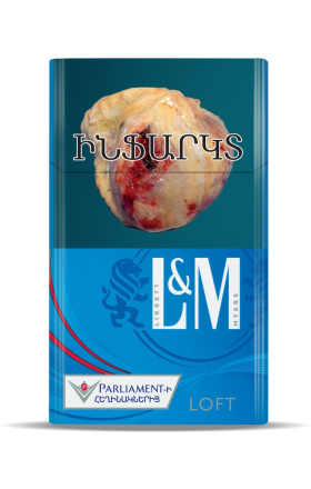 Ծխախոտ «L&M Loft Blue»