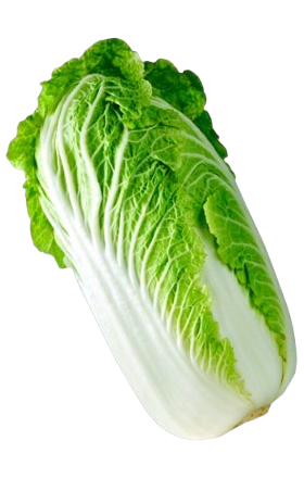 Chinese cabbage