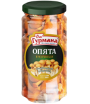 Կոճղասունկ մարինացված «Օտ Գուրմանա» 580մլ