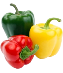 Перец болгарский