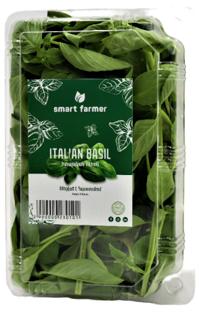 Smart Farmer Italian Basil pcs