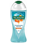 Լոգանքի գել Պալմոլիվ Չիչխանի 250մլ