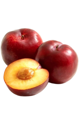 Слива красная большая 