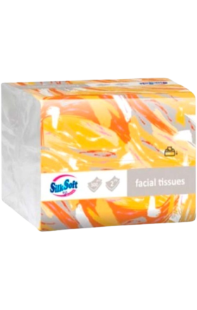 Անձեռոցիկ «Silk Soft», 2 շերտ, 300հատ