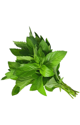 Mint 