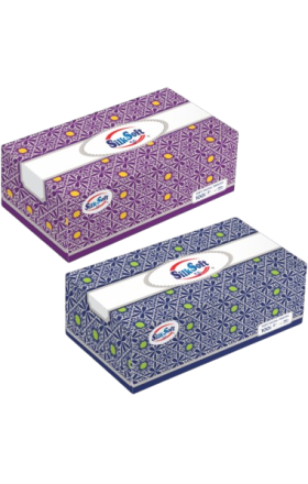 Салфетки "Silk Soft", двухслойные, 160шт.