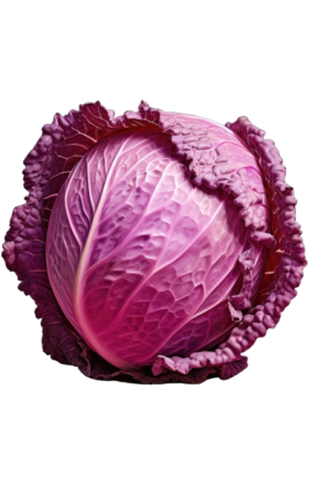 Red cabbage local