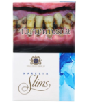 Cigarettes  "Karelia Slims"